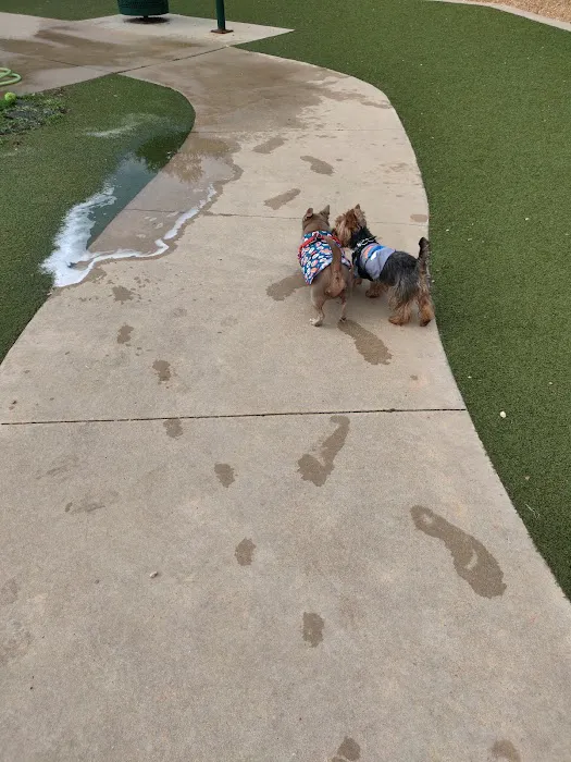 Saladino Dog Park 2