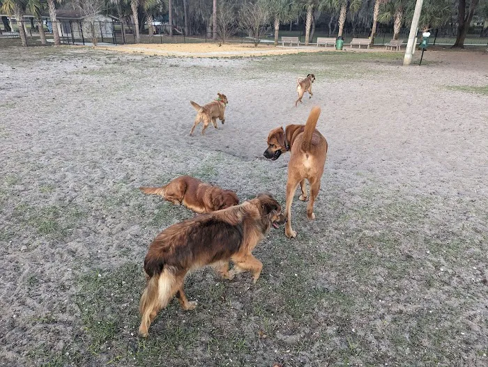 Saladino Dog Park 5