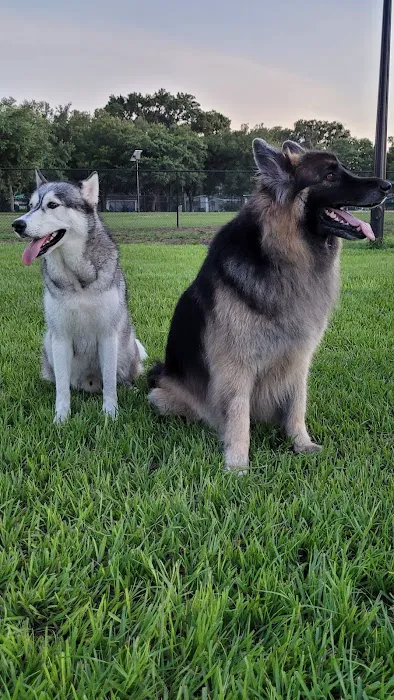 Saladino Dog Park 8