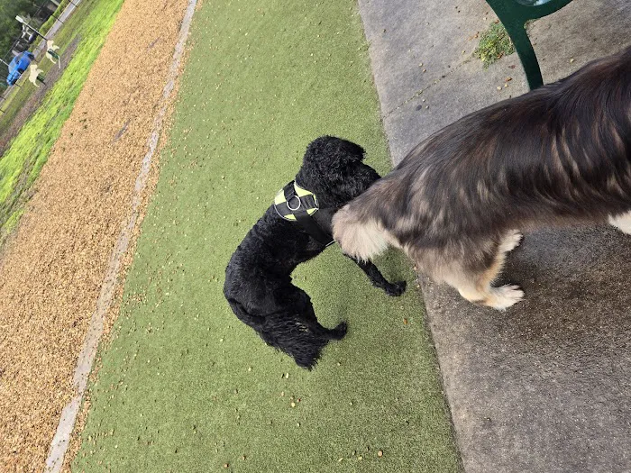 Saladino Dog Park 7