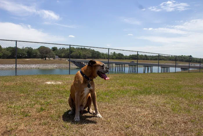 Temple Terrace Hilltop Dog Park 9