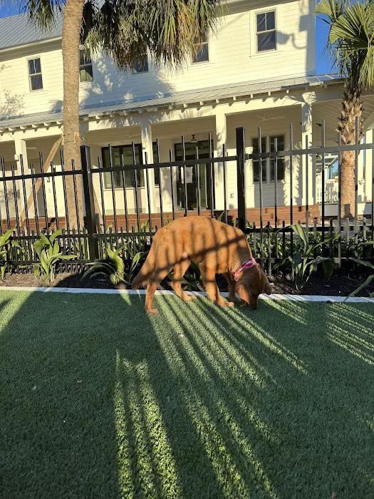 4th and Angel Dog Park 5