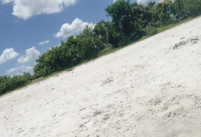 Davis Dog Beach 3