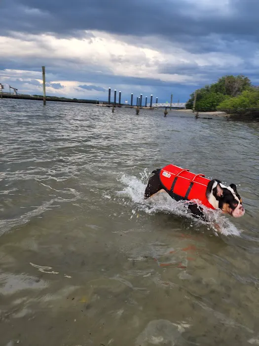 Davis Dog Beach 2