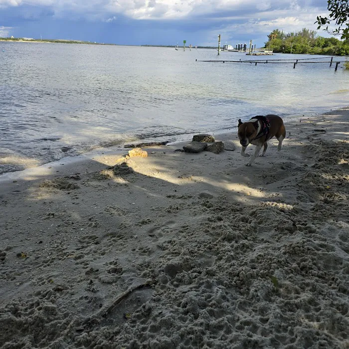 Davis Dog Beach 7