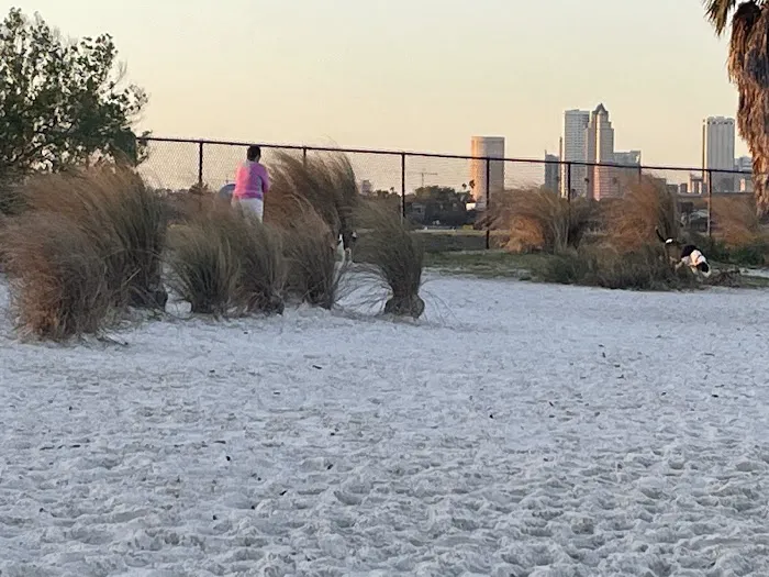 Davis Dog Beach 6