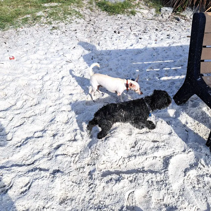 Davis Dog Beach 10