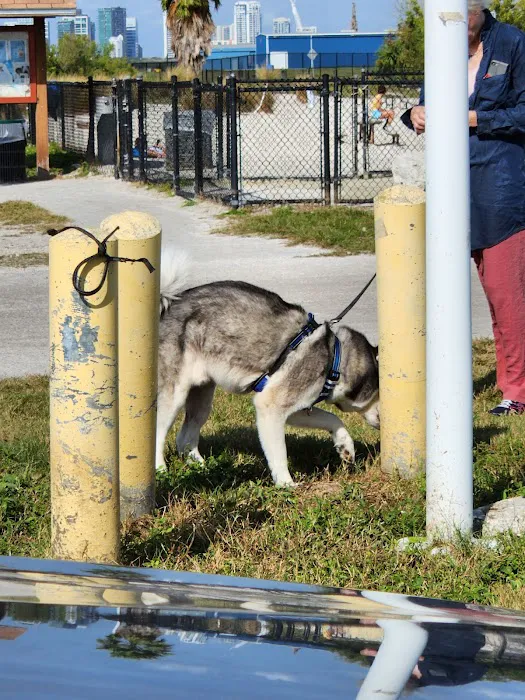 Davis Island Dog Park 9