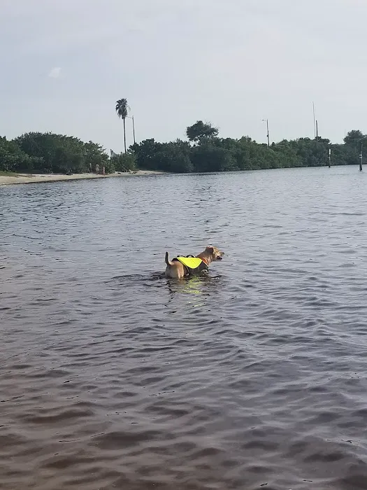 Davis Island Dog Park 6
