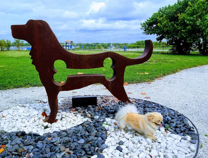 Davis Island Dog Park 3