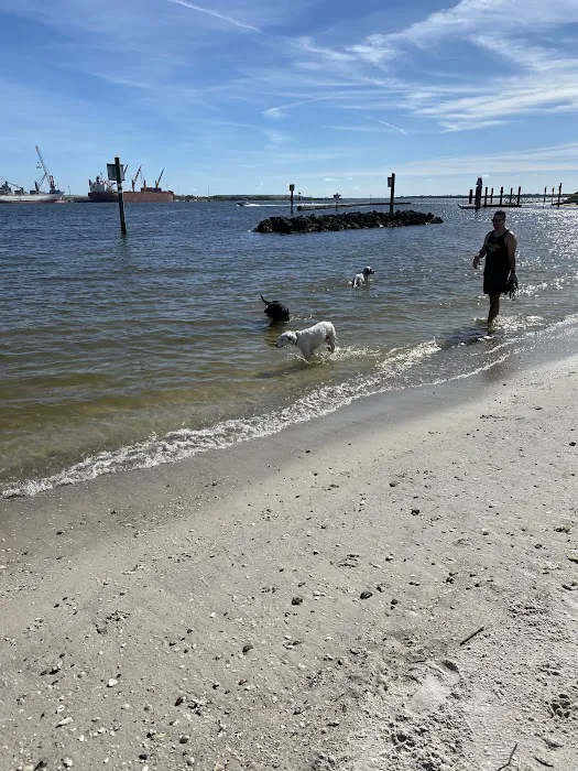 Davis Island Dog Park 2
