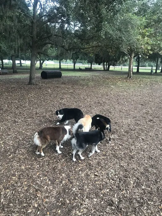 Washington Street Park 10