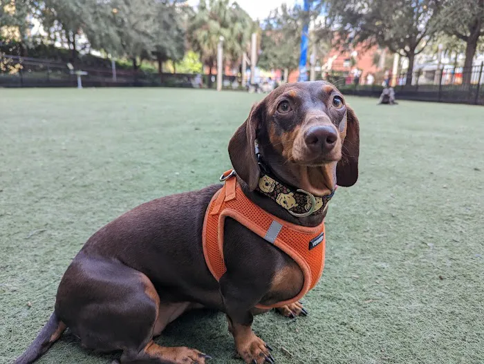 Washington Street Park 6