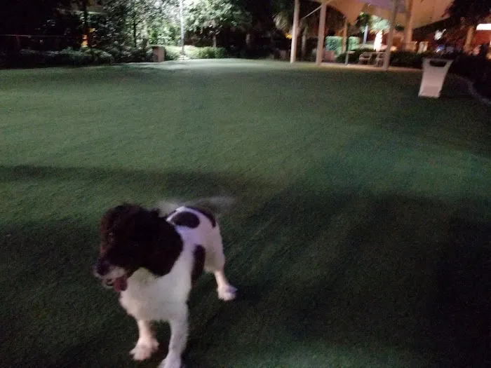 Washington Street Park 9