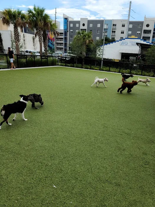Madison Street Dog Park 4