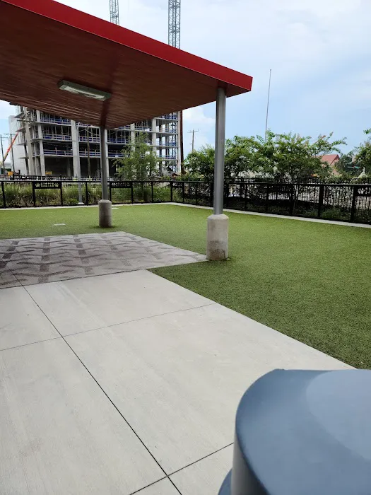 Madison Street Dog Park 1