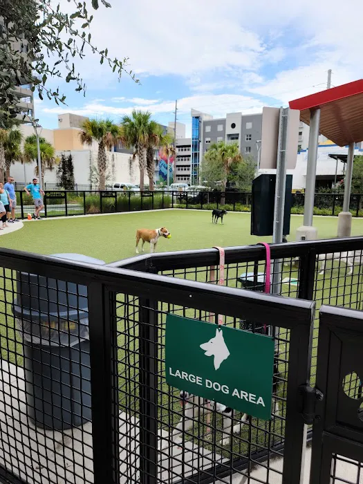 Madison Street Dog Park 2