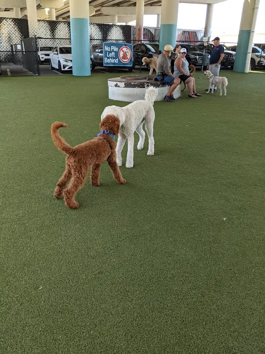 Deputy Kotfila Memorial Dog Park 9