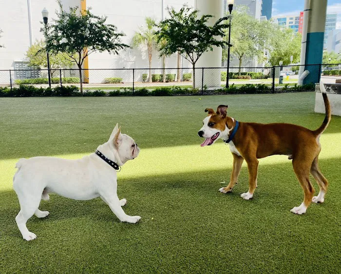 Deputy Kotfila Memorial Dog Park 5