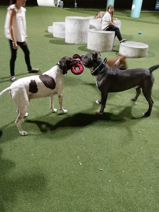 Deputy Kotfila Memorial Dog Park 8