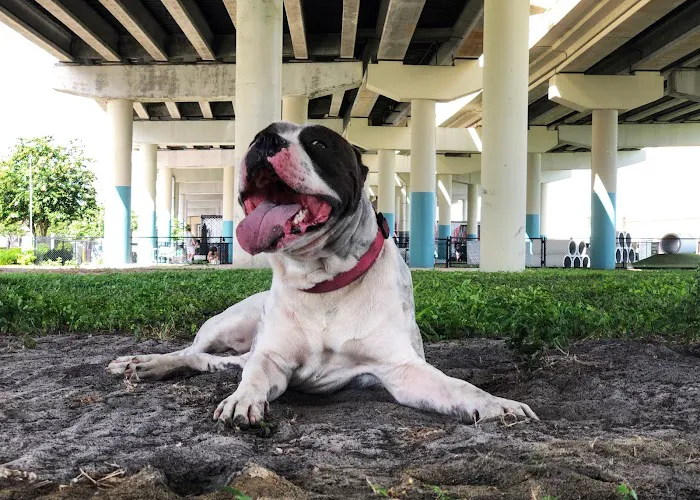 Deputy Kotfila Memorial Dog Park 7