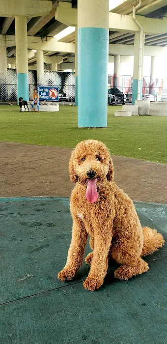 Deputy Kotfila Memorial Dog Park 3