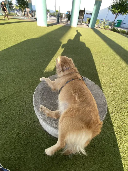 Deputy Kotfila Memorial Dog Park 2