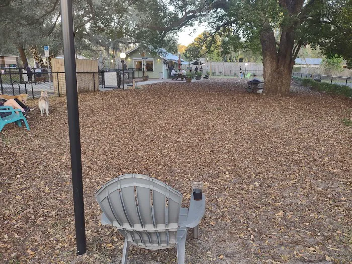 Hair of the Dog Park 1