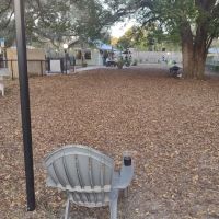 Hair of the Dog Park ico