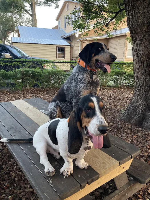 Hair of the Dog Park 8