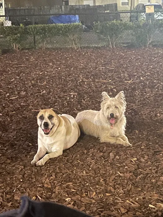 Hair of the Dog Park 5