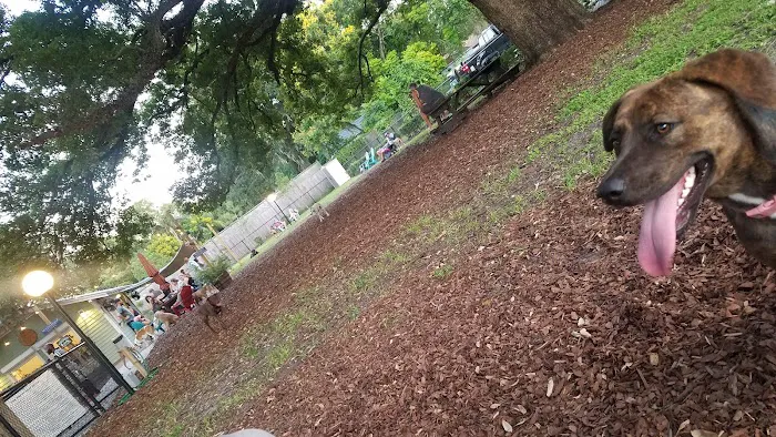 Hair of the Dog Park 7