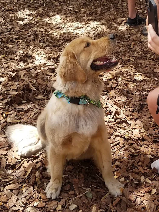Hair of the Dog Park 3