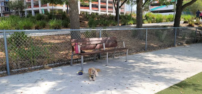 Curtis Hixon Waterfront Park Dog Park 10