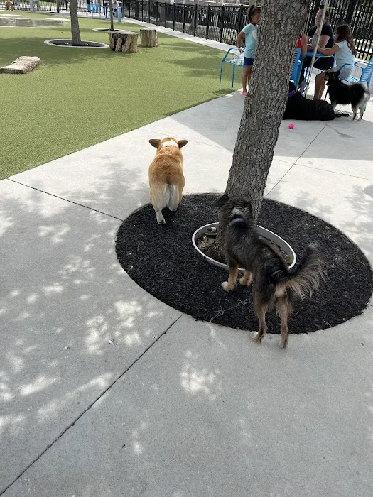 Queenie's Dog Park 5