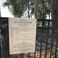 Queenie's Dog Park ico