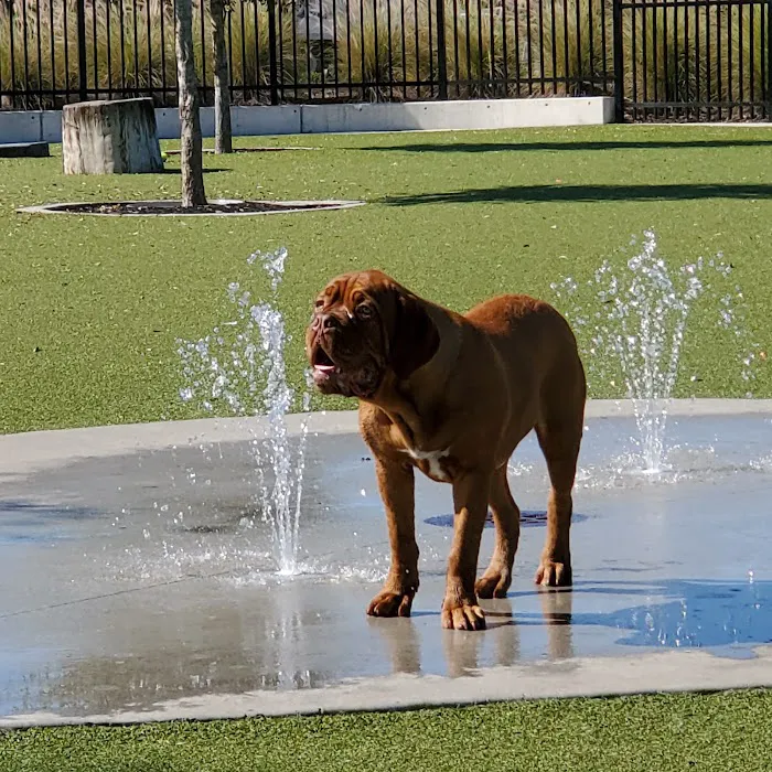 Dog Parks at Julian B. Lane Riverfront Park 3