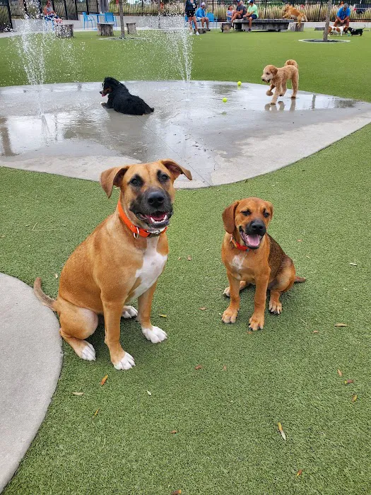 Dog Parks at Julian B. Lane Riverfront Park 1