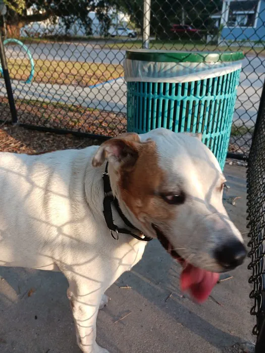 Angus Goss Dog Park 9