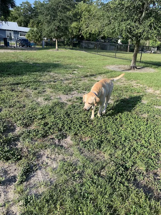 Angus Goss Dog Park 2