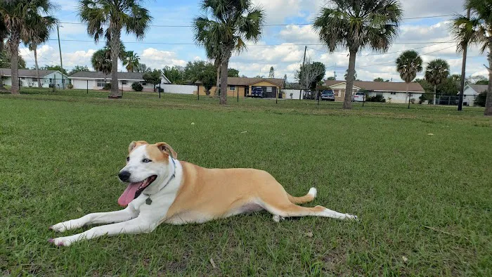 Apollo Beach Dog Park 1