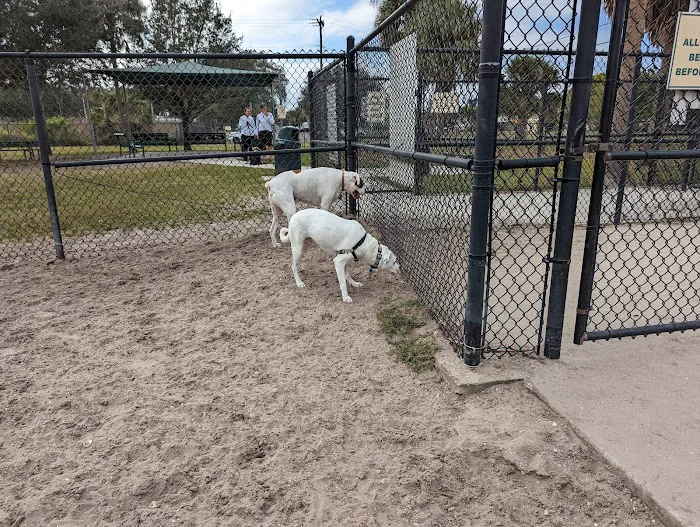Apollo Beach Dog Park 5