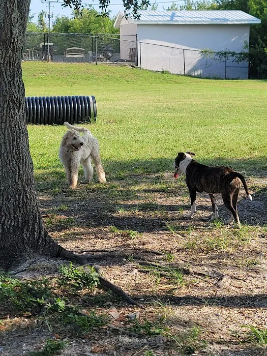 Apollo Beach Dog Park 4