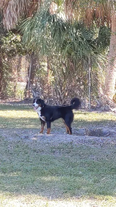 Hyde Park Dog Park 3
