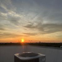 Post Hyde Park Dog Park ico