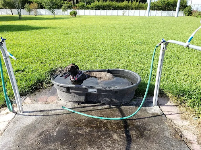Dr Otts Off Leash Dog Sanctuary 3