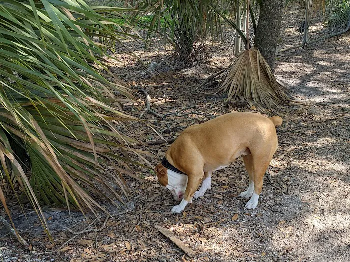Dr Otts Off Leash Dog Sanctuary 2