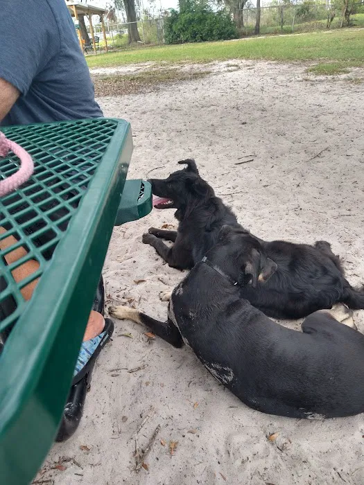 Dr Otts Off Leash Dog Sanctuary 10