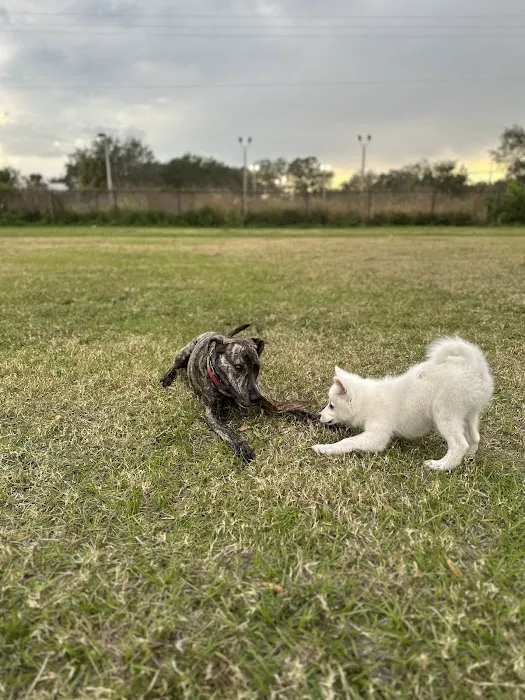 Dr Otts Off Leash Dog Sanctuary 9