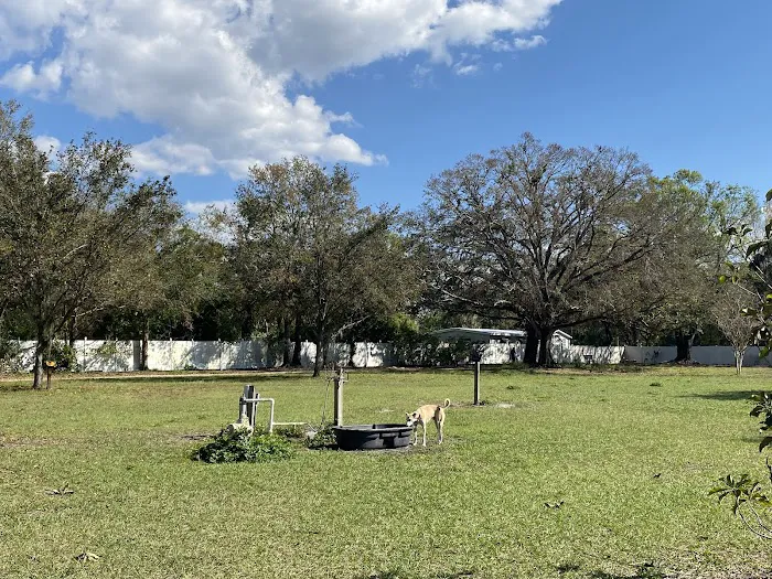Dr Otts Off Leash Dog Sanctuary 6